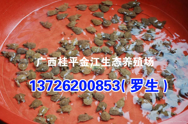 ˾ڹӦɳ,ɳhttp://www.gxstyz.com/