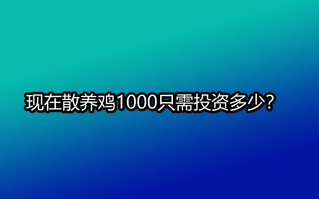 现在散养鸡1000只需投资多少？