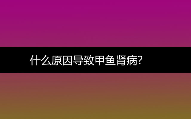 什么原因导致甲鱼肾病？