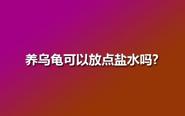 养乌龟可以放点盐水吗?