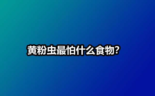 黄粉虫最怕什么食物？