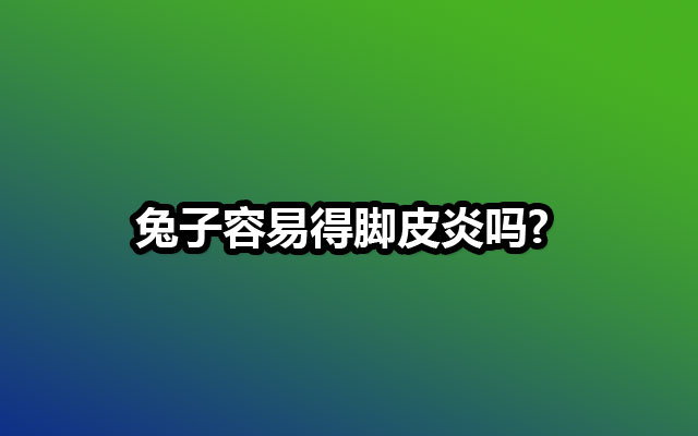 兔子容易得脚皮炎吗?