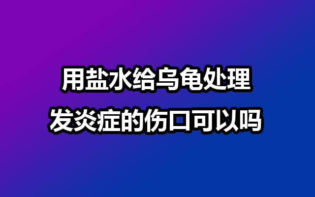 用盐水给乌龟处理发炎症的伤口可以吗