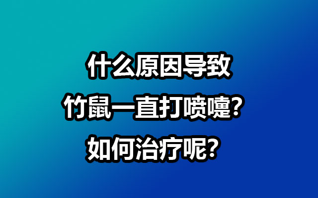 什么原因导致竹鼠一直打喷嚏？如何治疗呢？