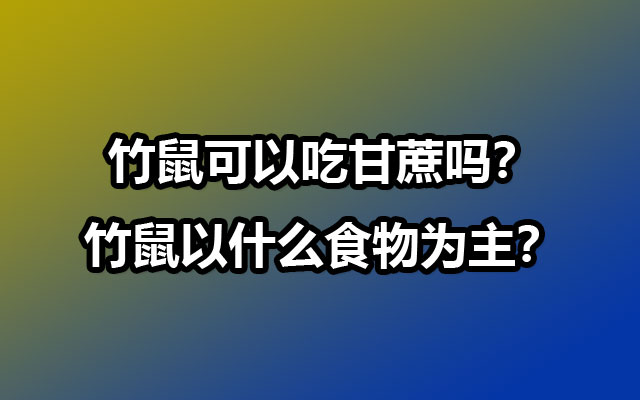 竹鼠可以吃甘蔗吗？竹鼠以什么食物为主？