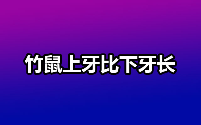 竹鼠上牙比下牙长