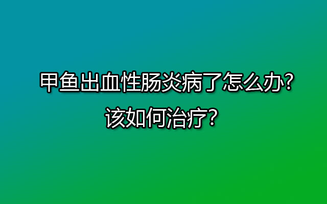 甲鱼出血性肠炎病了怎么办?该如何治疗？