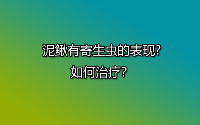 泥鳅有寄生虫的表现?如何治疗？