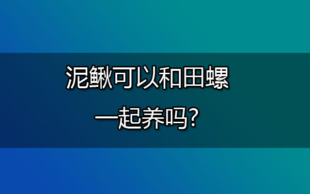 泥鳅可以和田螺一起养吗?