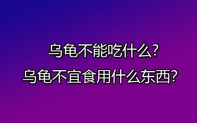 乌龟不能吃什么?乌龟不宜食用什么东西？