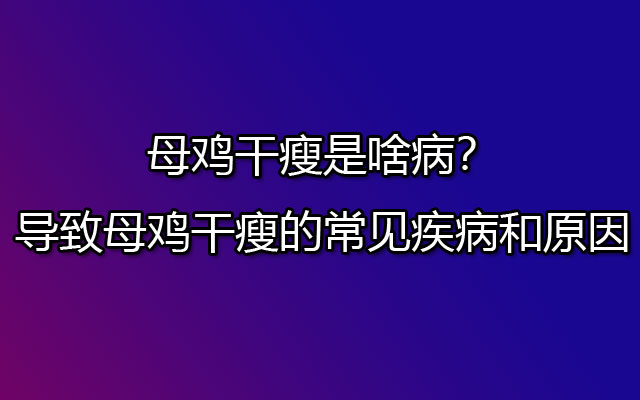 母鸡干瘦是啥病？导致母鸡干瘦的常见疾病和原因