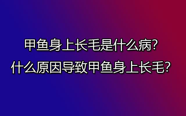 甲鱼身上长毛是什么病？什么原因导致甲鱼身上长毛？