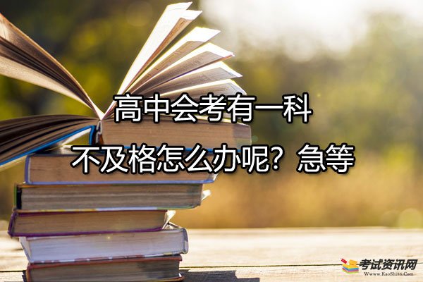 高中会考有一科不及格怎么办呢？急等