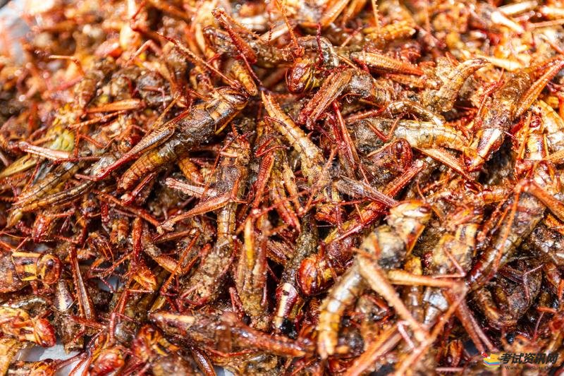 你知道蚂蚱吃什么食物吗？蚂蚱有哪些自然天敌？