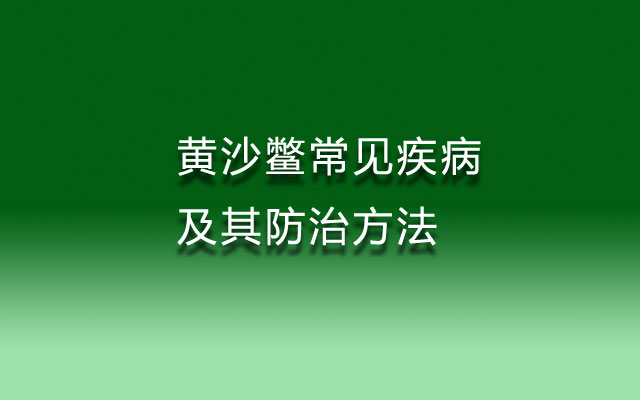 黄沙鳖疾病,黄沙鳖病害,黄沙鳖疾病防治,黄沙鳖疾病防治方法